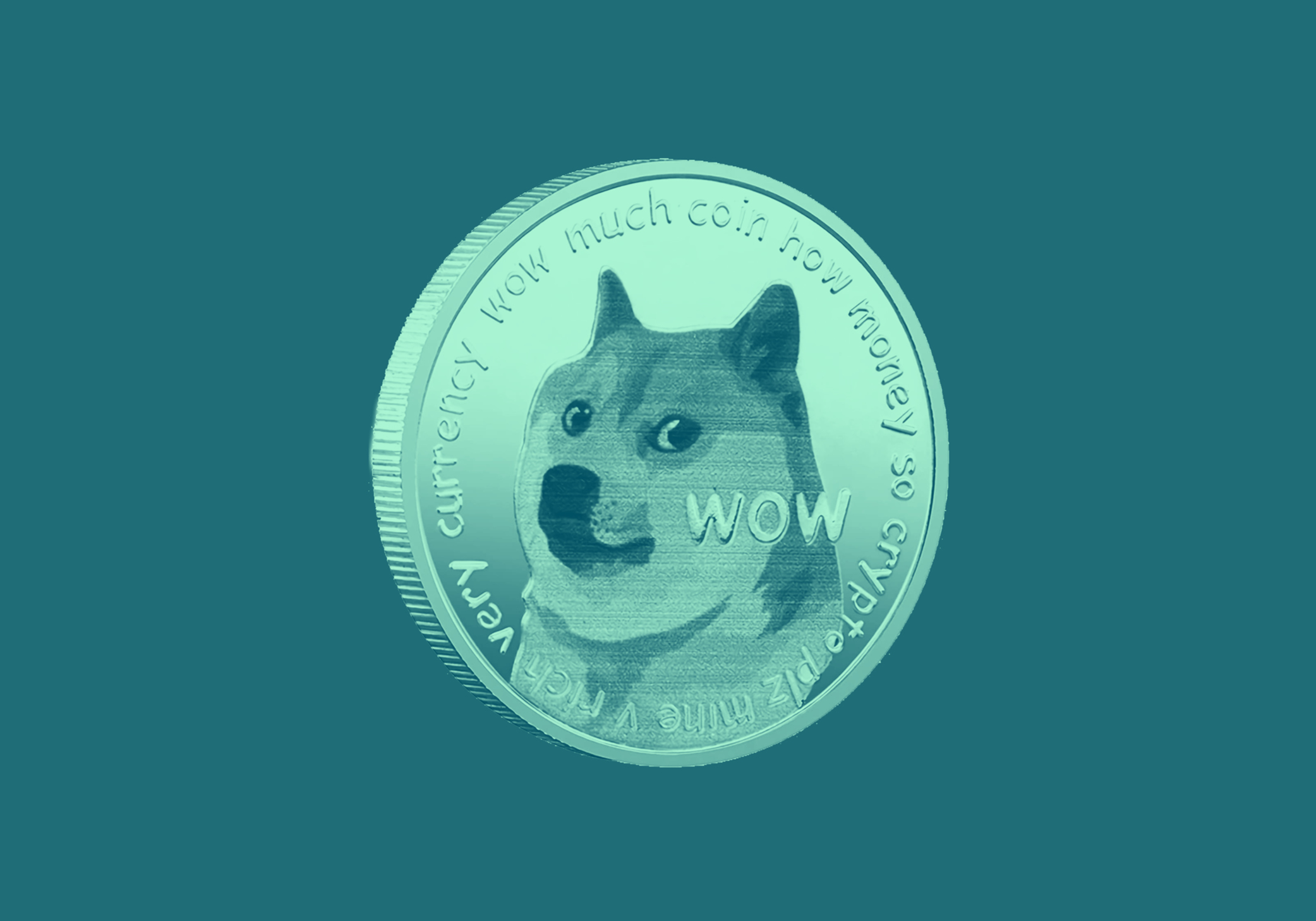 Монета Мем dogwifhat. Монета Мем. Картинки memecoin Polize. Memecoin. Coin meaning