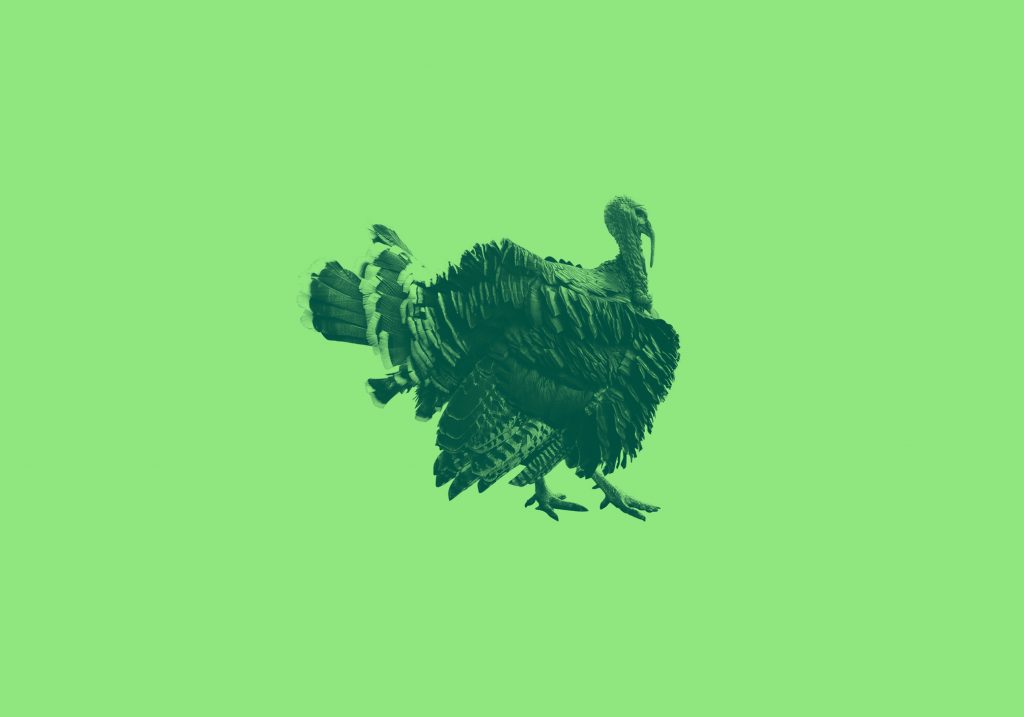 Which Turkey Came First: The Bird Or The Country? 