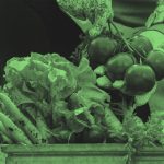 Closeup of an array of vegetables including carrots, radishes, and lettuce, and gardener holding up tomatoes, in green filter.