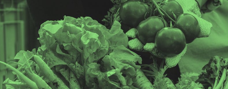 Closeup of an array of vegetables including carrots, radishes, and lettuce, and gardener holding up tomatoes, in green filter.