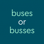 text in light teal font on dark teal background: buses or busses