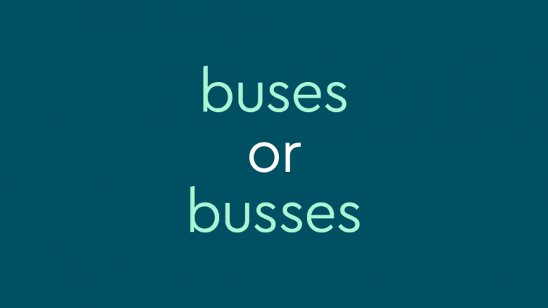 text in light teal font on dark teal background: buses or busses