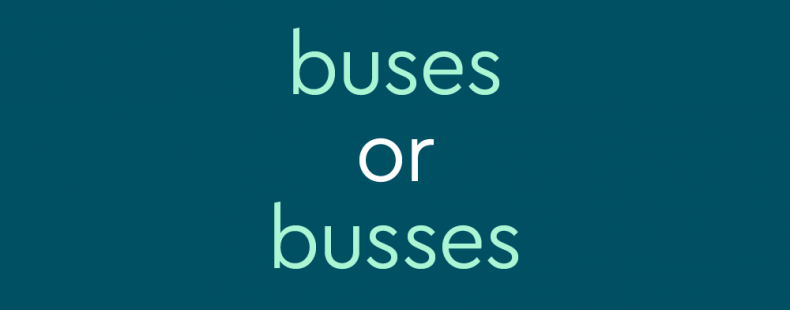 text in light teal font on dark teal background: buses or busses