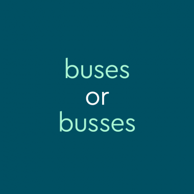 text in light teal font on dark teal background: buses or busses