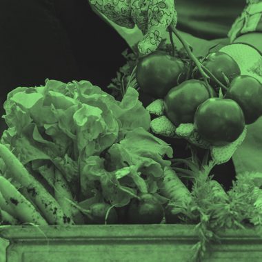 Closeup of an array of vegetables including carrots, radishes, and lettuce, and gardener holding up tomatoes, in green filter.
