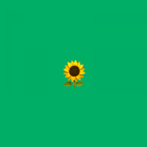 sunflower emoji on light green background