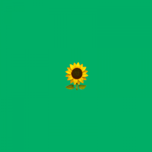 🌻 Sunflower emoji Meaning