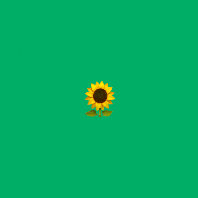 ? Sunflower emoji | Emoji | Dictionary.com display picture 2