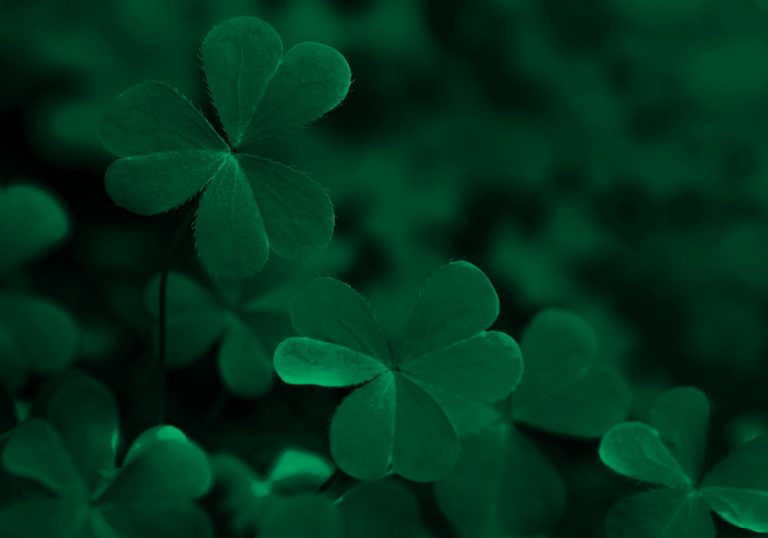 Green background with three-leaved shamrocks