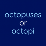 light blue text on dark blue background: "octopuses or octopi"