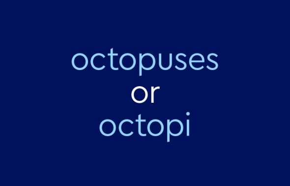 light blue text on dark blue background: "octopuses or octopi"
