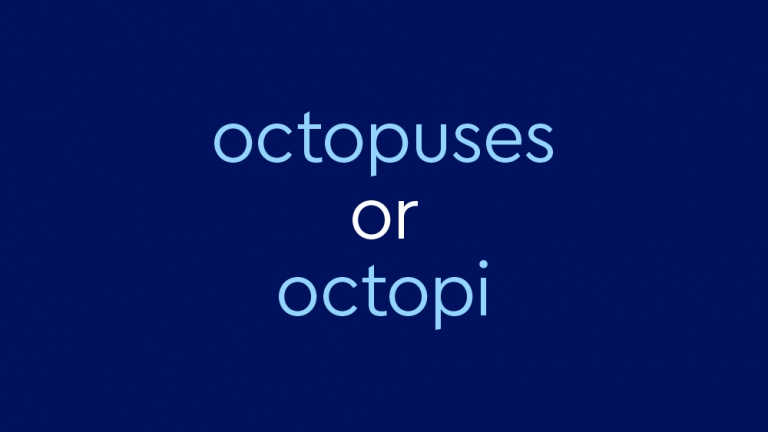 light blue text on dark blue background: "octopuses or octopi"