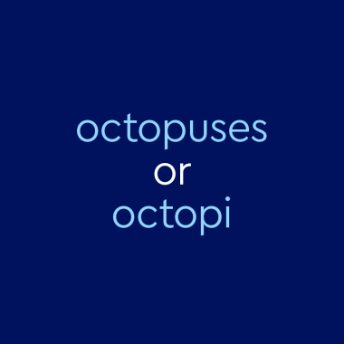 light blue text on dark blue background: "octopuses or octopi"