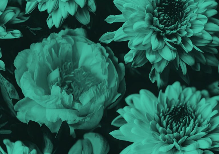 close-up of bouquet of flowers, teal filter.