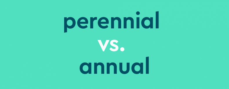 dark teal text on light teal background: "perennial vs. annual" ["vs." in white font]
