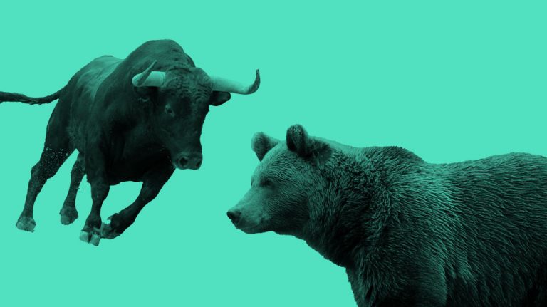 charging bull and grizzly bear photos, teal filter.