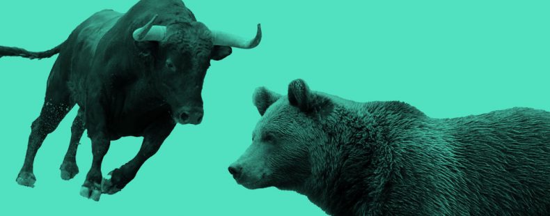 charging bull and grizzly bear photos, teal filter.