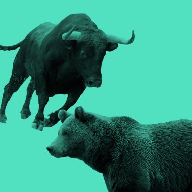 charging bull and grizzly bear photos, teal filter.