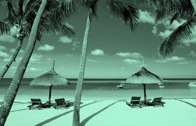 beach view with palm trees and cabanas in teal filter.