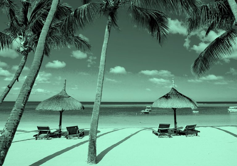 beach view with palm trees and cabanas in teal filter.