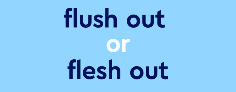 dark blue text "flush out or flesh out" on light blue background