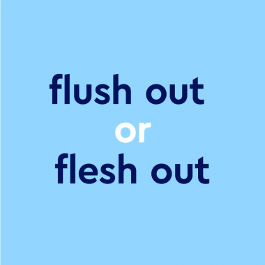 dark blue text "flush out or flesh out" on light blue background