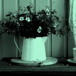 flowers in a pitcher