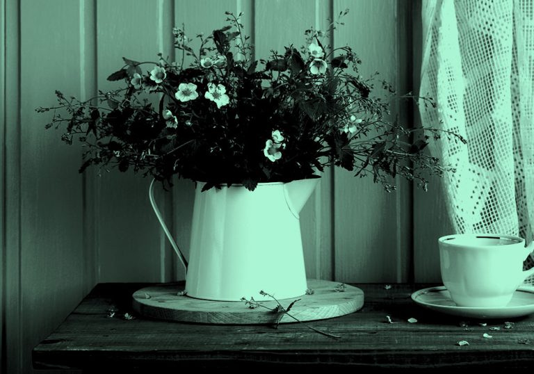 flowers in a pitcher