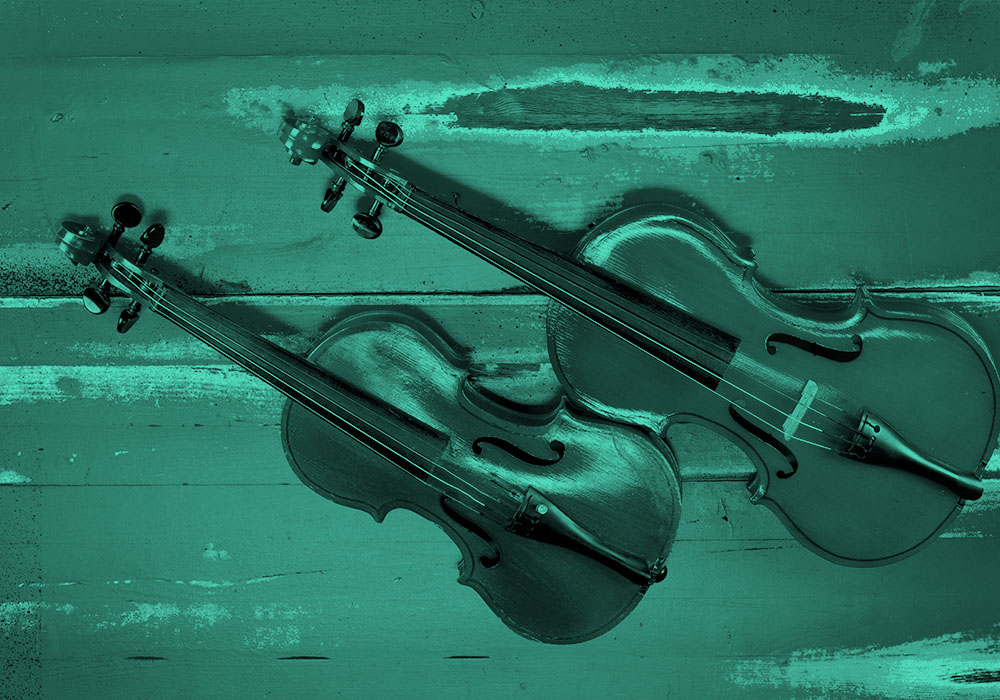 Viola" vs. "Violin" – The Difference? | Dictionary.com