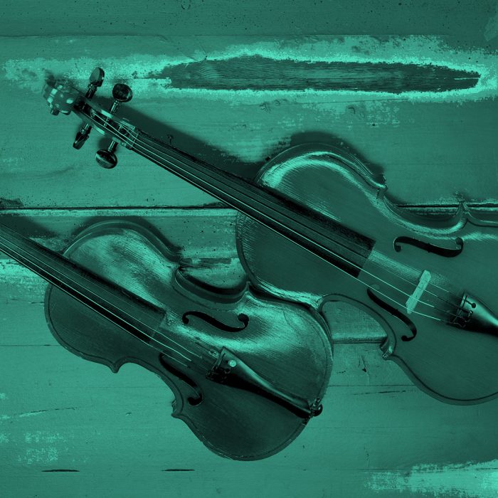 “Viola” vs. “Violin” Time To Sound Out Their Differences LaptrinhX / News