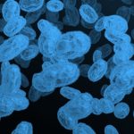 virus under microscope; blue filter