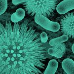 green filtered image of bacteria and virus