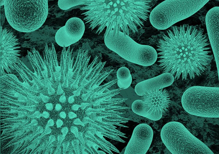 green filtered image of bacteria and virus