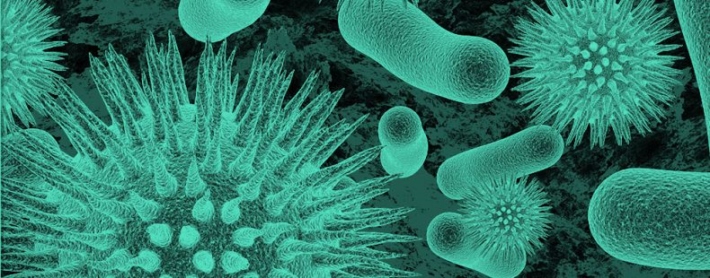 green filtered image of bacteria and virus
