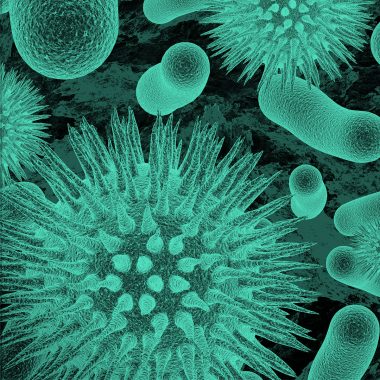 green filtered image of bacteria and virus