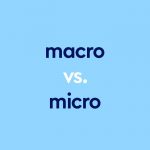 dark blue text "macro vs micro" on light blue background
