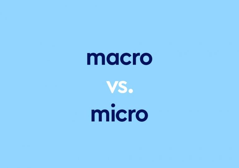 dark blue text "macro vs micro" on light blue background