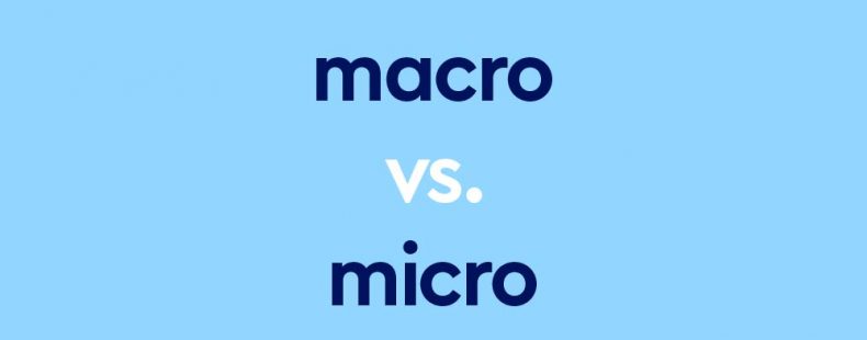 dark blue text "macro vs micro" on light blue background