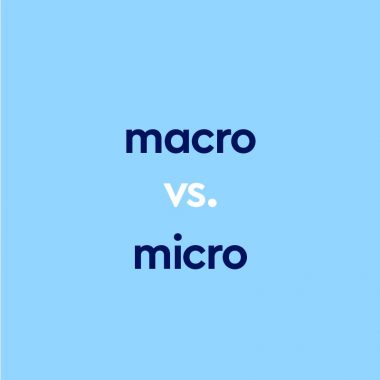 dark blue text "macro vs micro" on light blue background