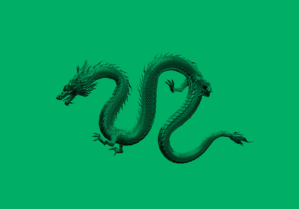 Dragon  Images de dragons, Dragons, Dragon skyrim