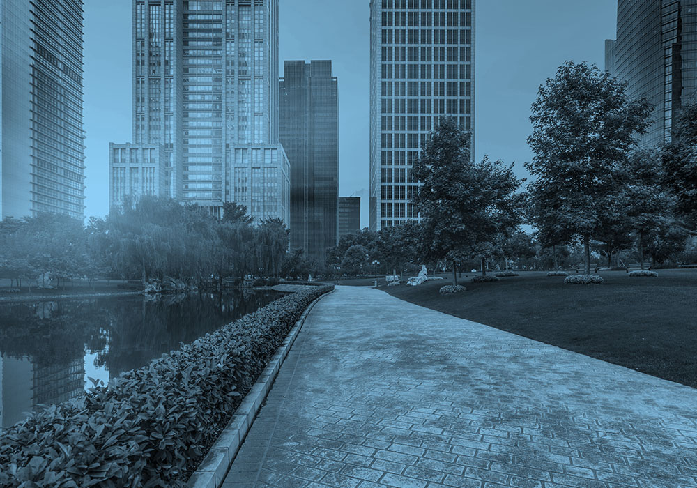 sponge city Meaning & Origin