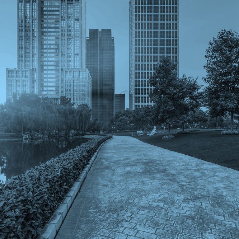 sponge city Meaning & Origin