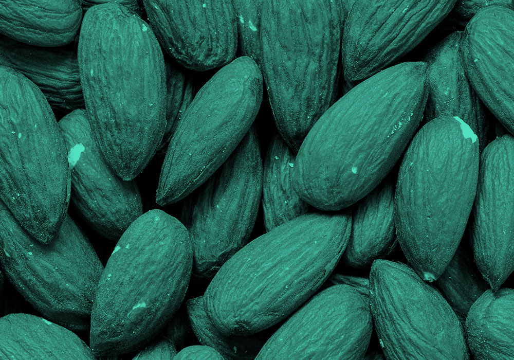 almond mom Meaning & Origin Slang by