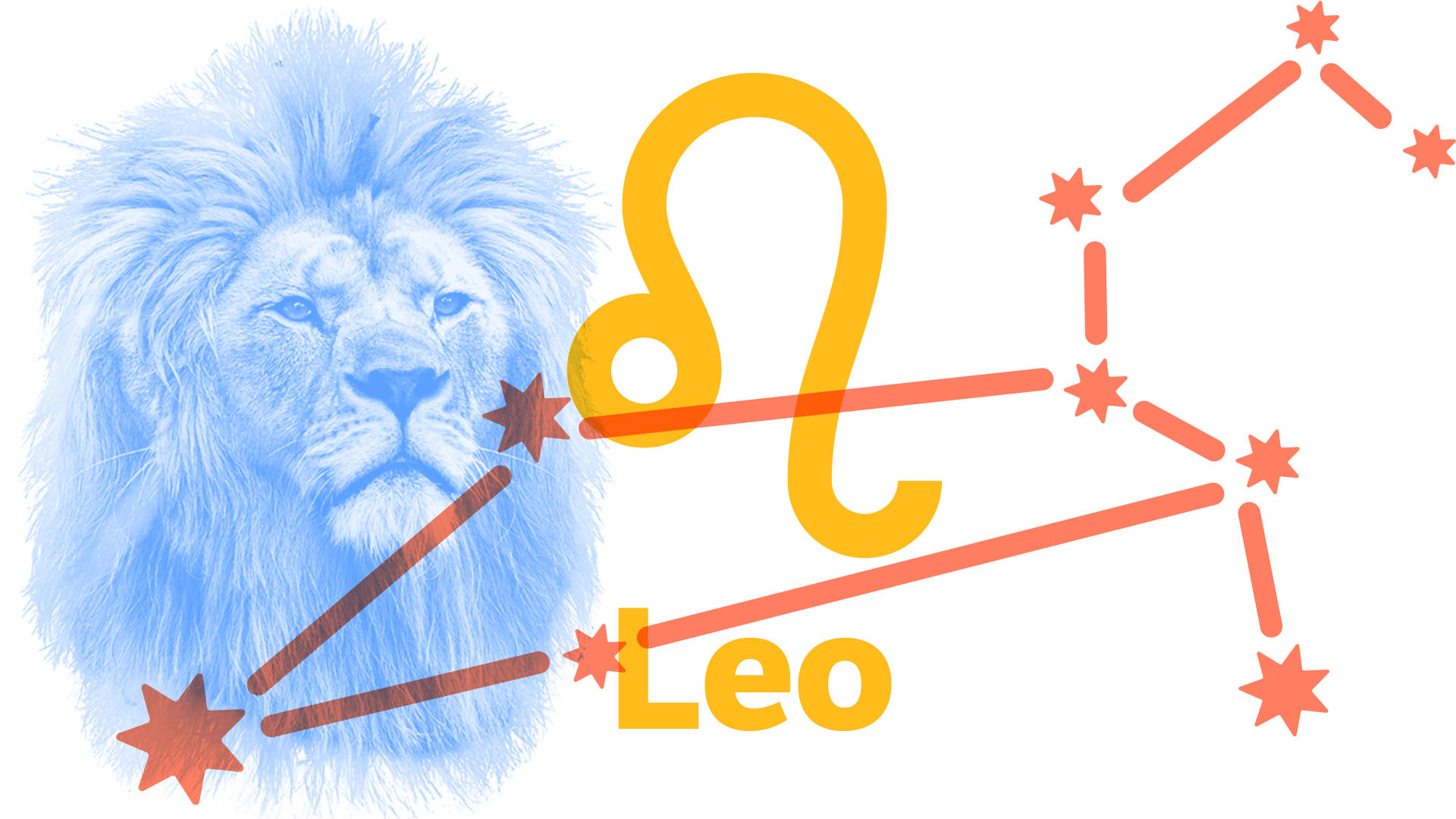Words That Every Leo Should Know 