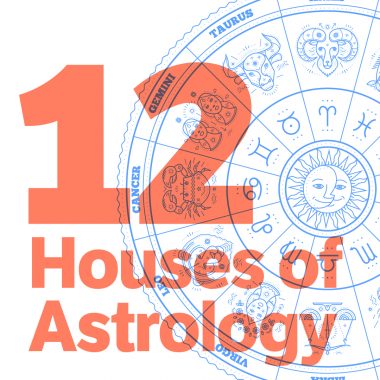 12 houses of astrology red text plus chart