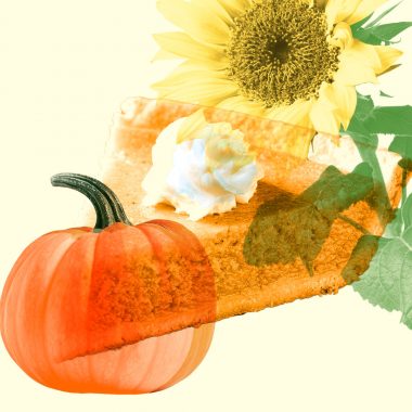 pumpkin, pumpkin pie, sunflower on yellow background