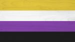 nonbinary flag