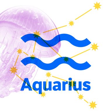 aquarius zodiac