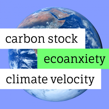 climate change words